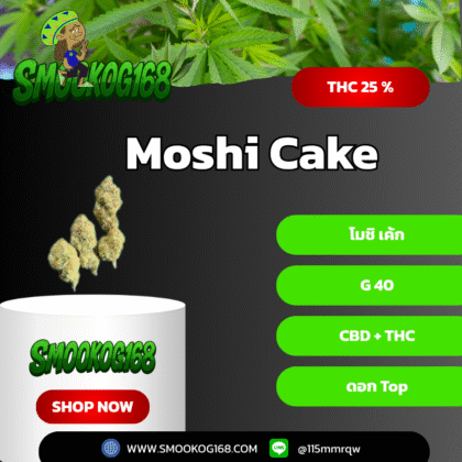 Moshi Cake