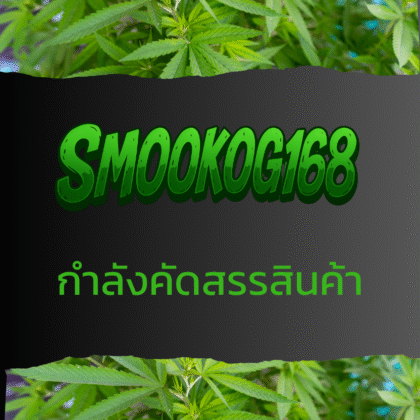 Cooming Soon